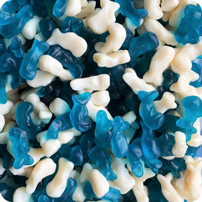 Blue Dolphin Sweets